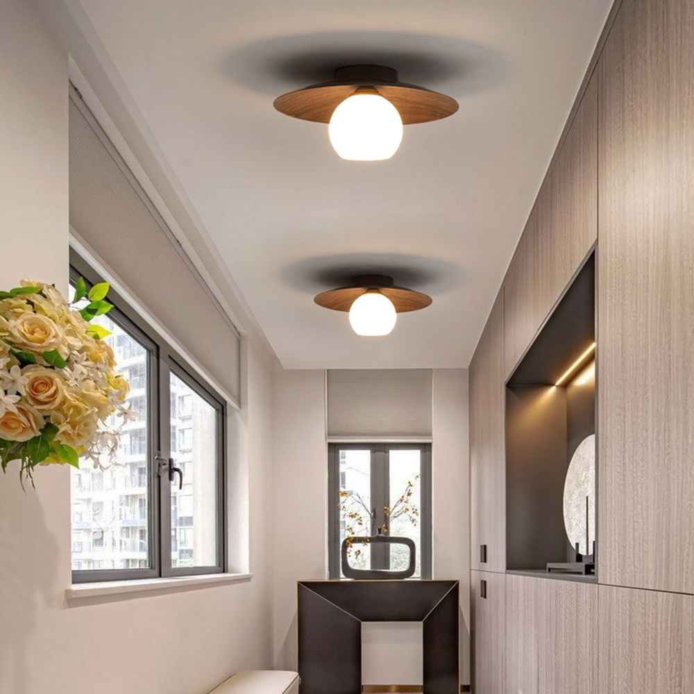 Entaro Ceiling Light