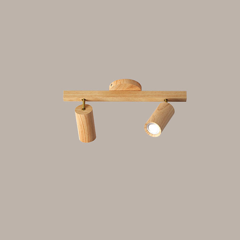 Metoza Ceiling Light