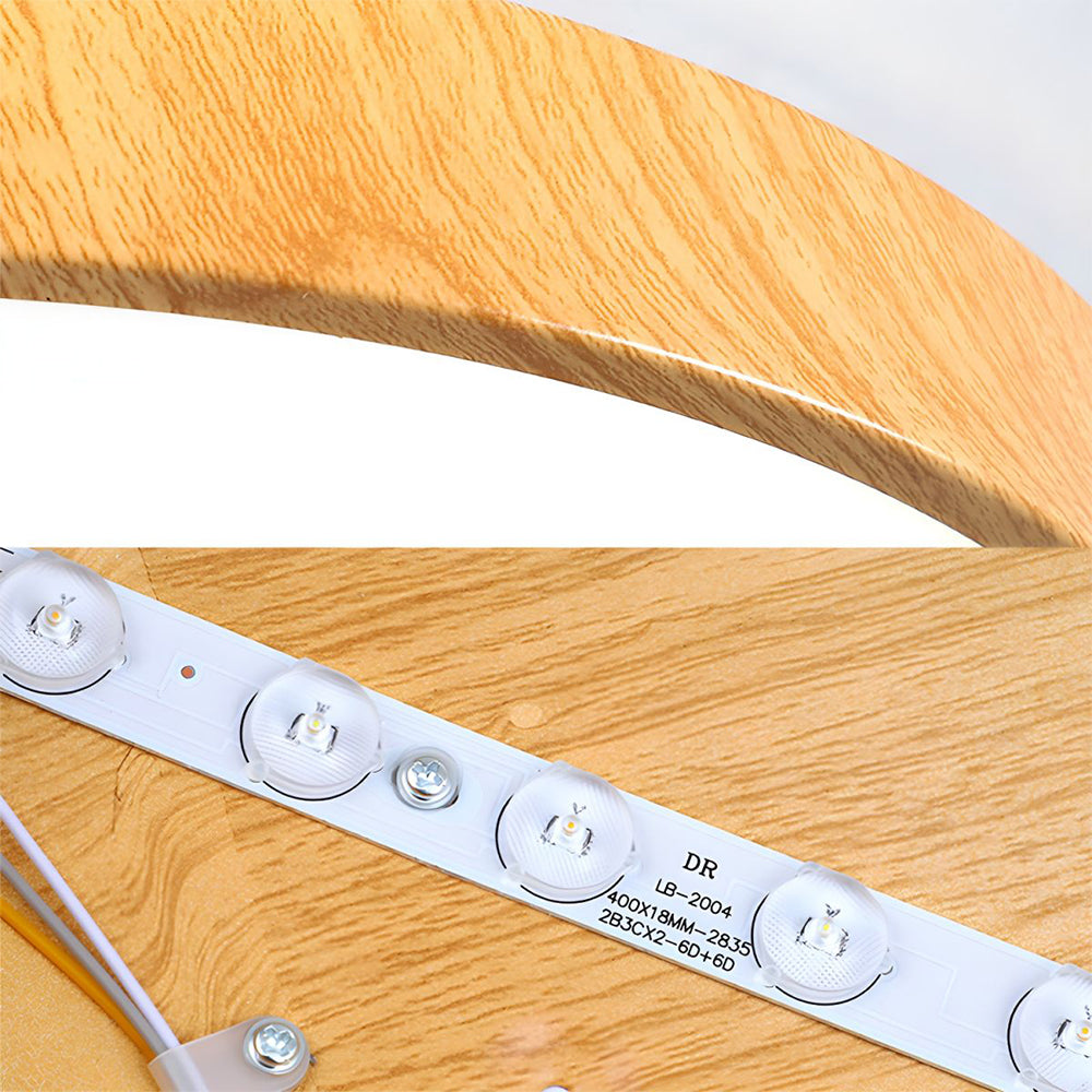 Concize Disc Ceiling Light