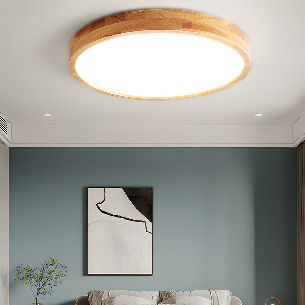 Erlivon Ceiling Light
