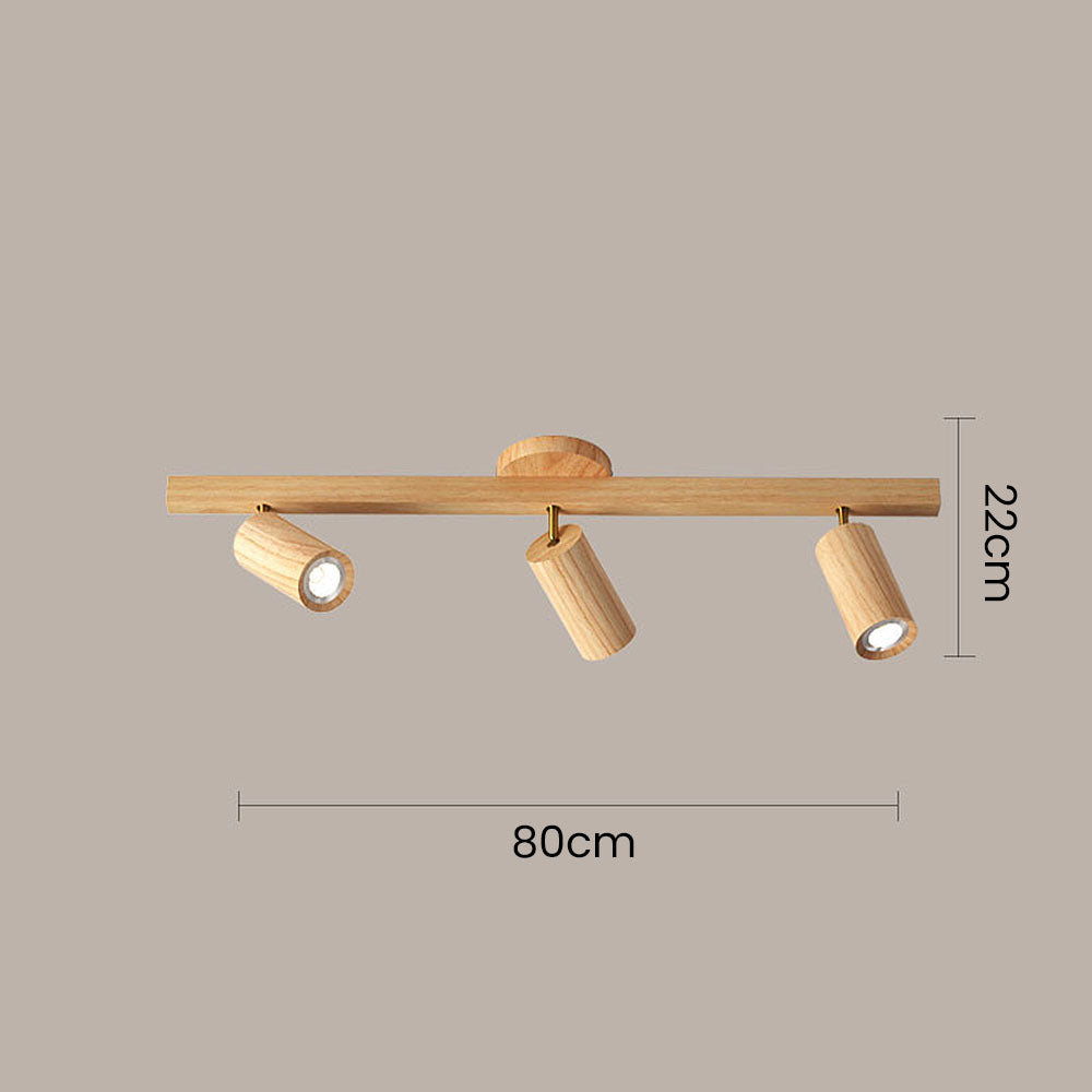 Metoza Ceiling Light