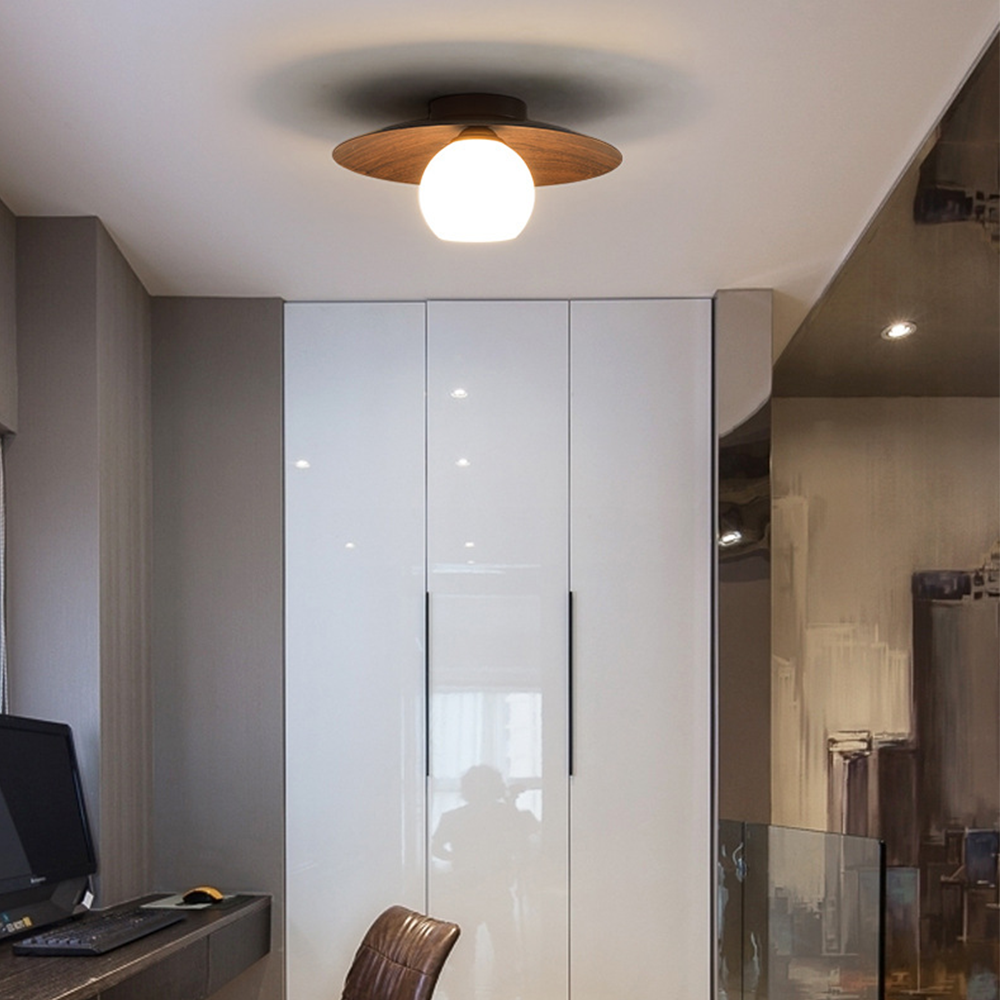 Entaro Ceiling Light