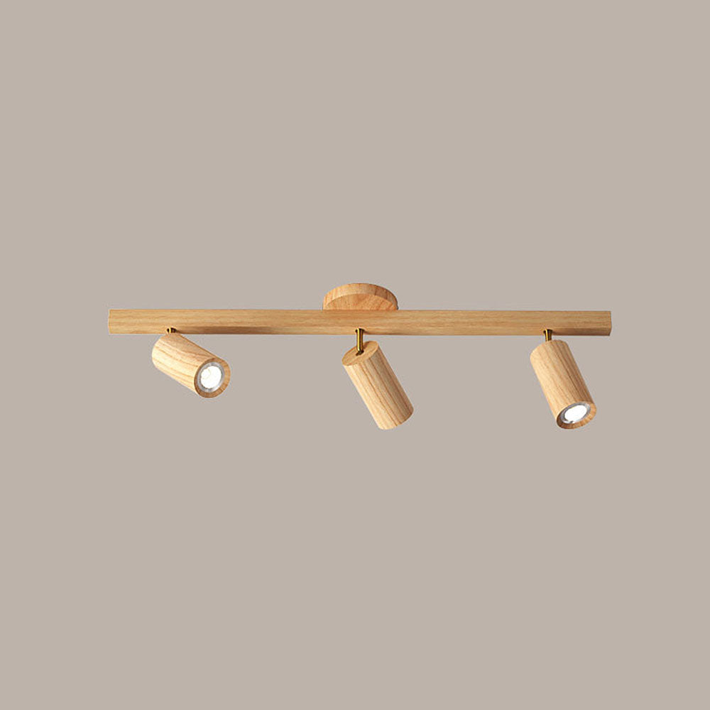 Metoza Ceiling Light