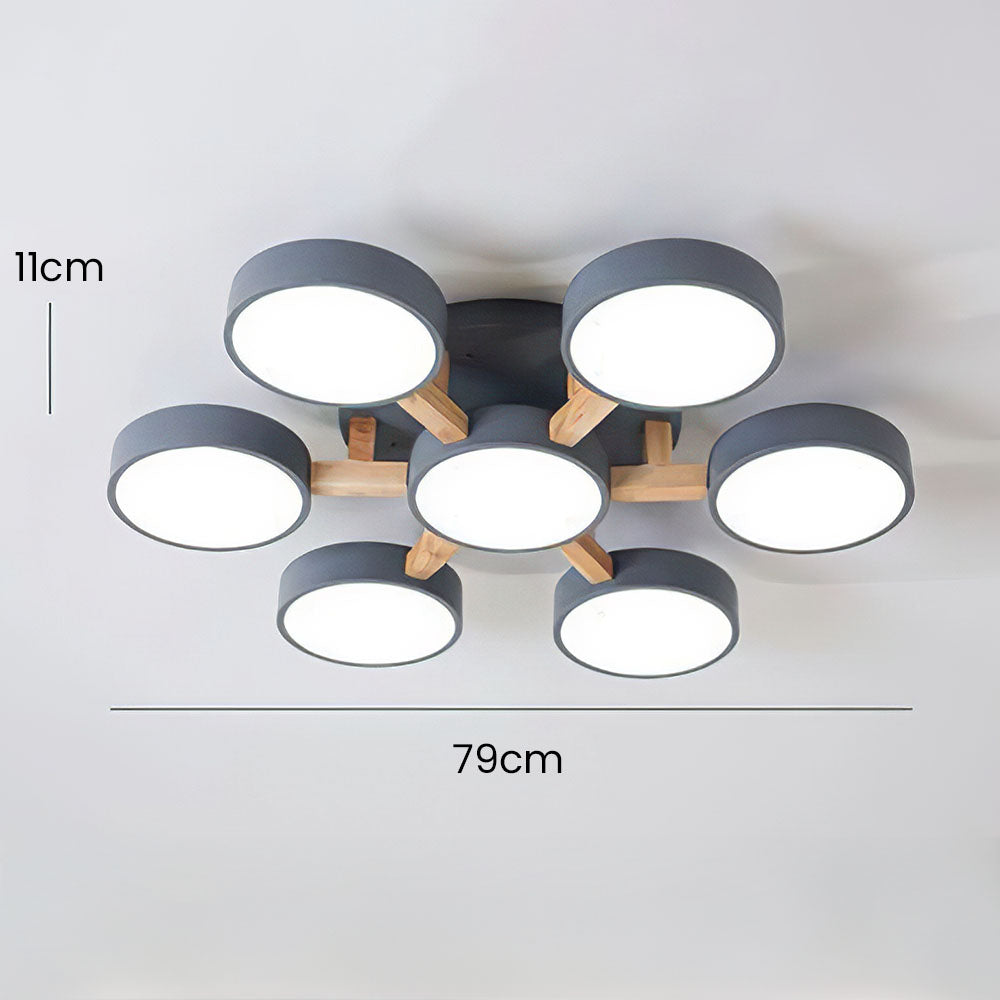 Finizaro Ceiling Light