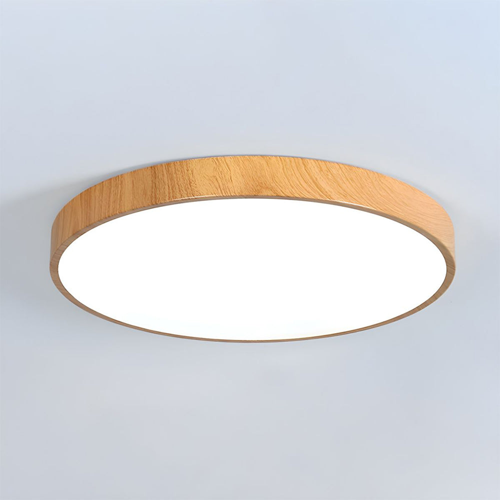 Concize Disc Ceiling Light