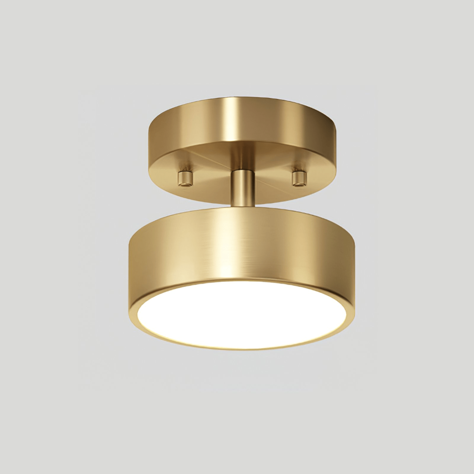 Seccon Ceiling Light