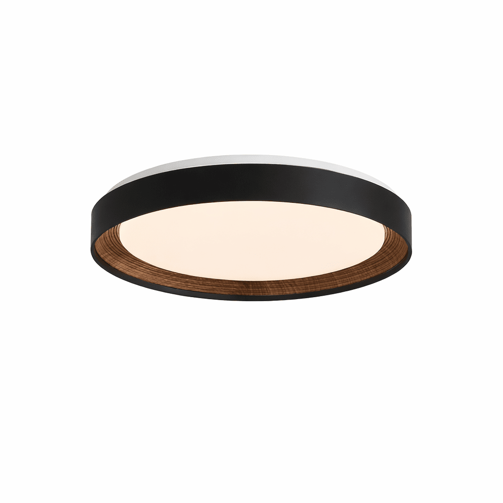 Arto Disc Ceiling Light