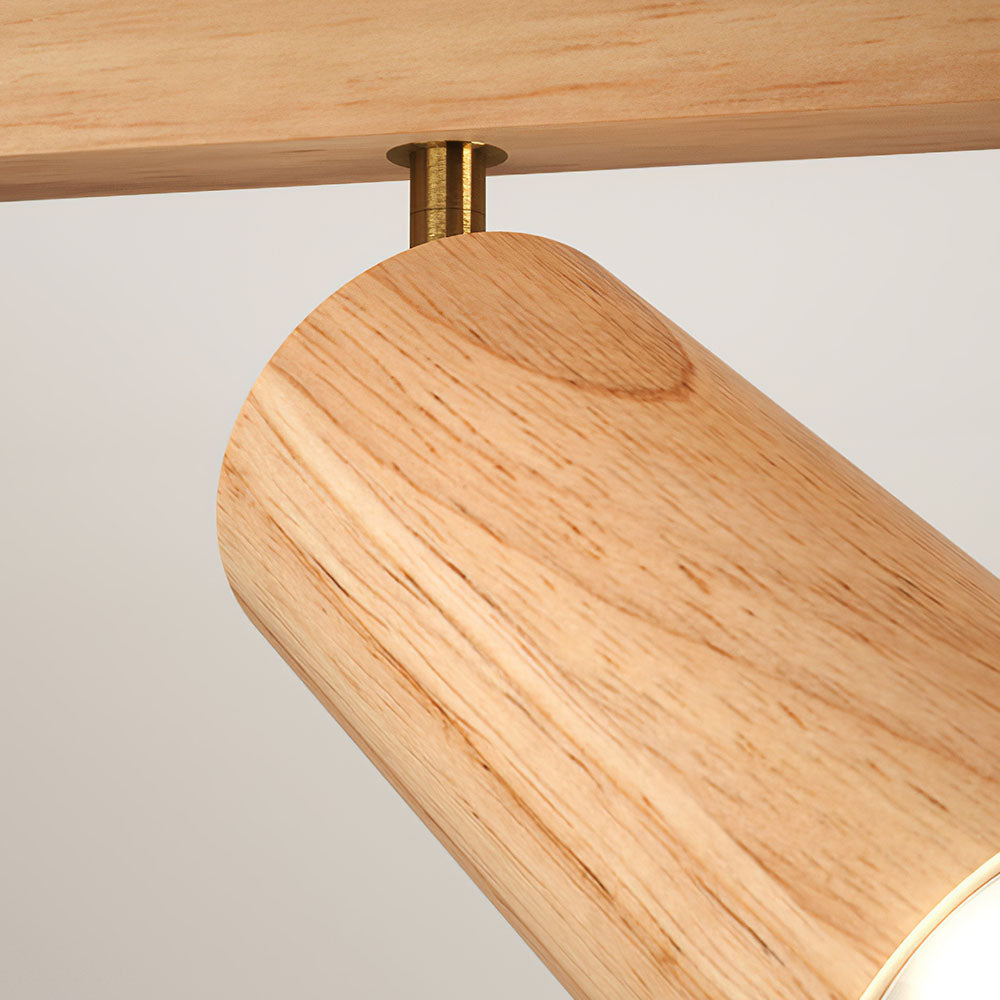 Metoza Ceiling Light