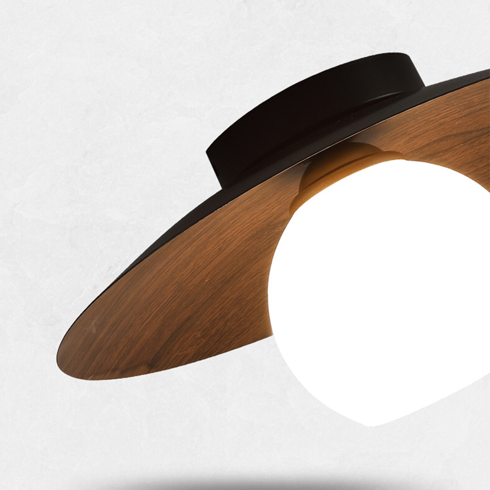 Entaro Ceiling Light