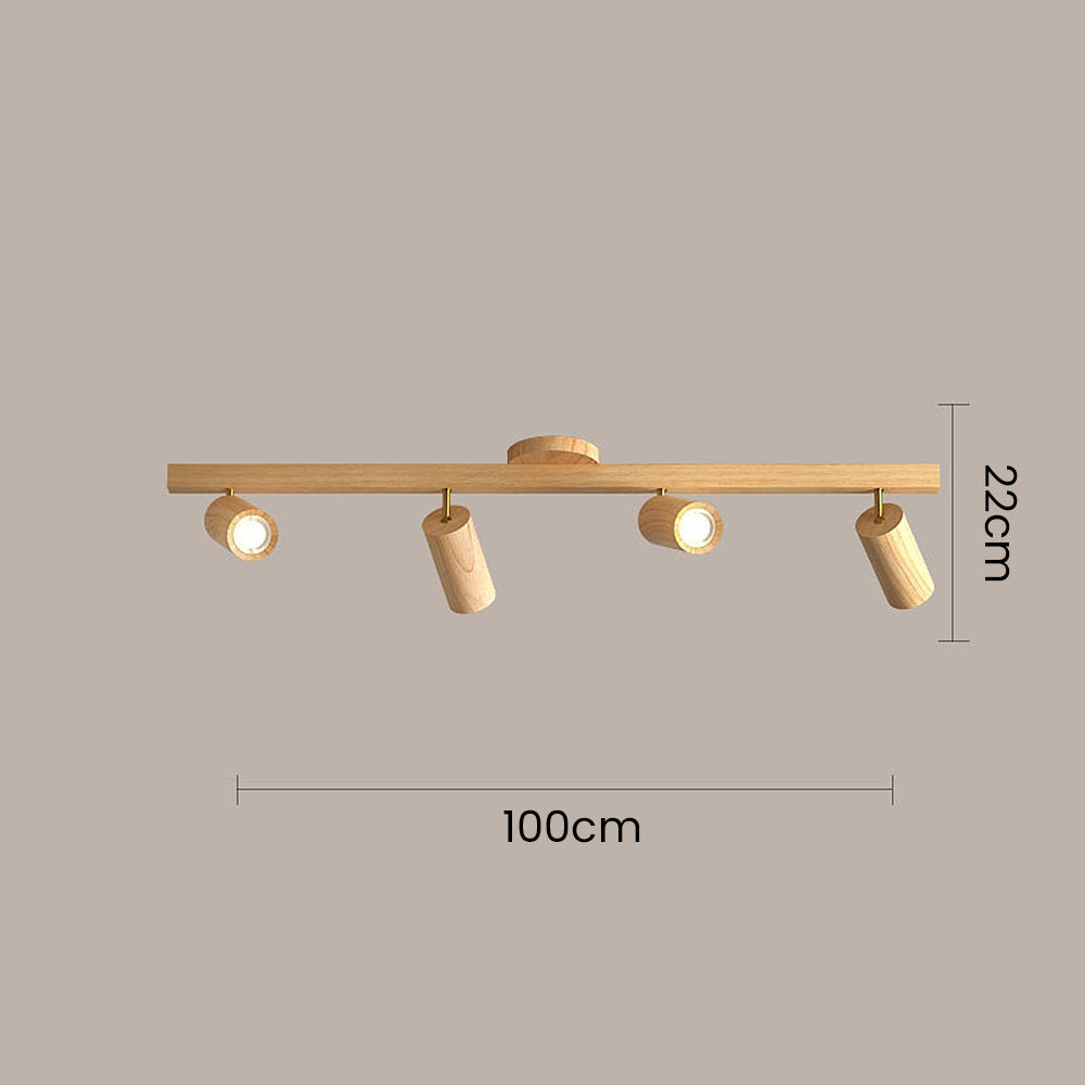 Metoza Ceiling Light