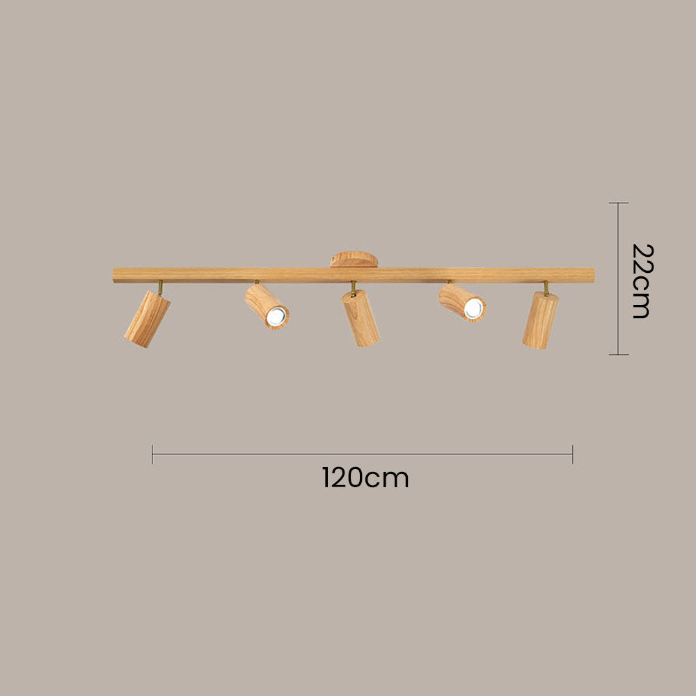 Metoza Ceiling Light