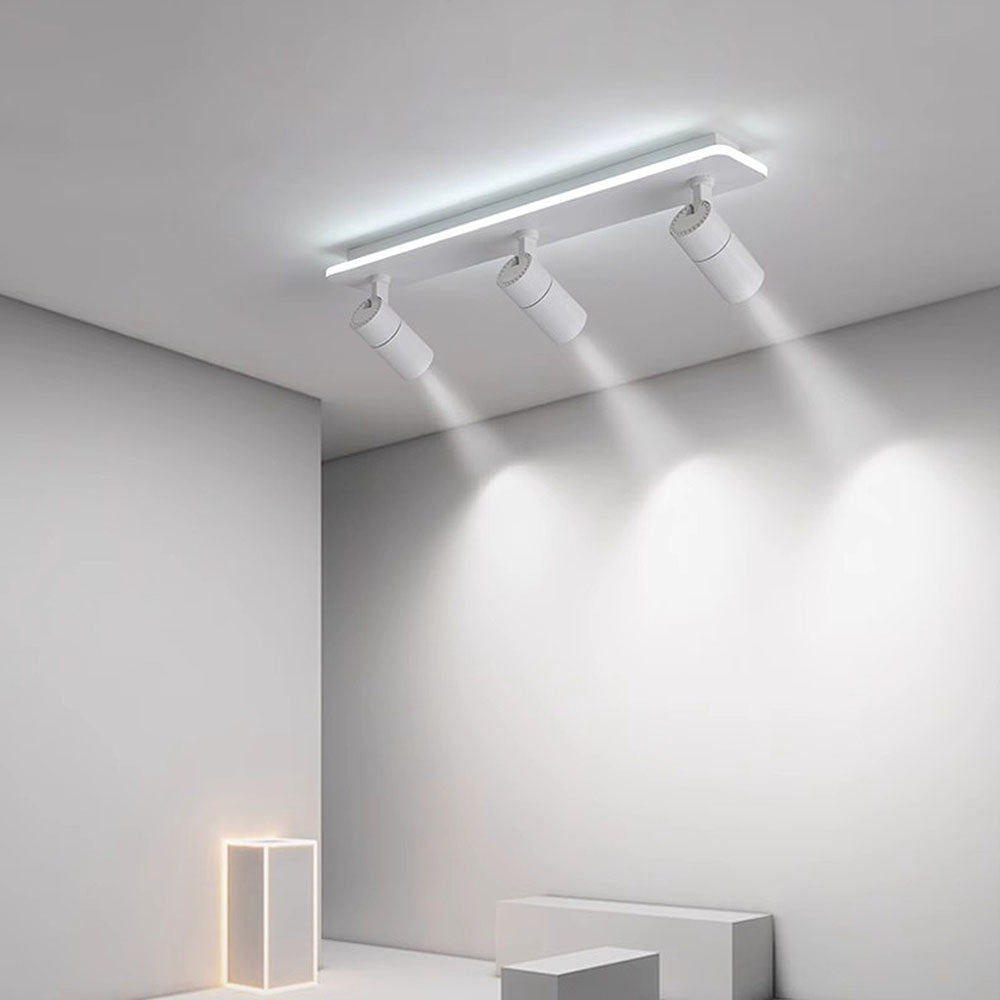 Triccon Ceiling Light