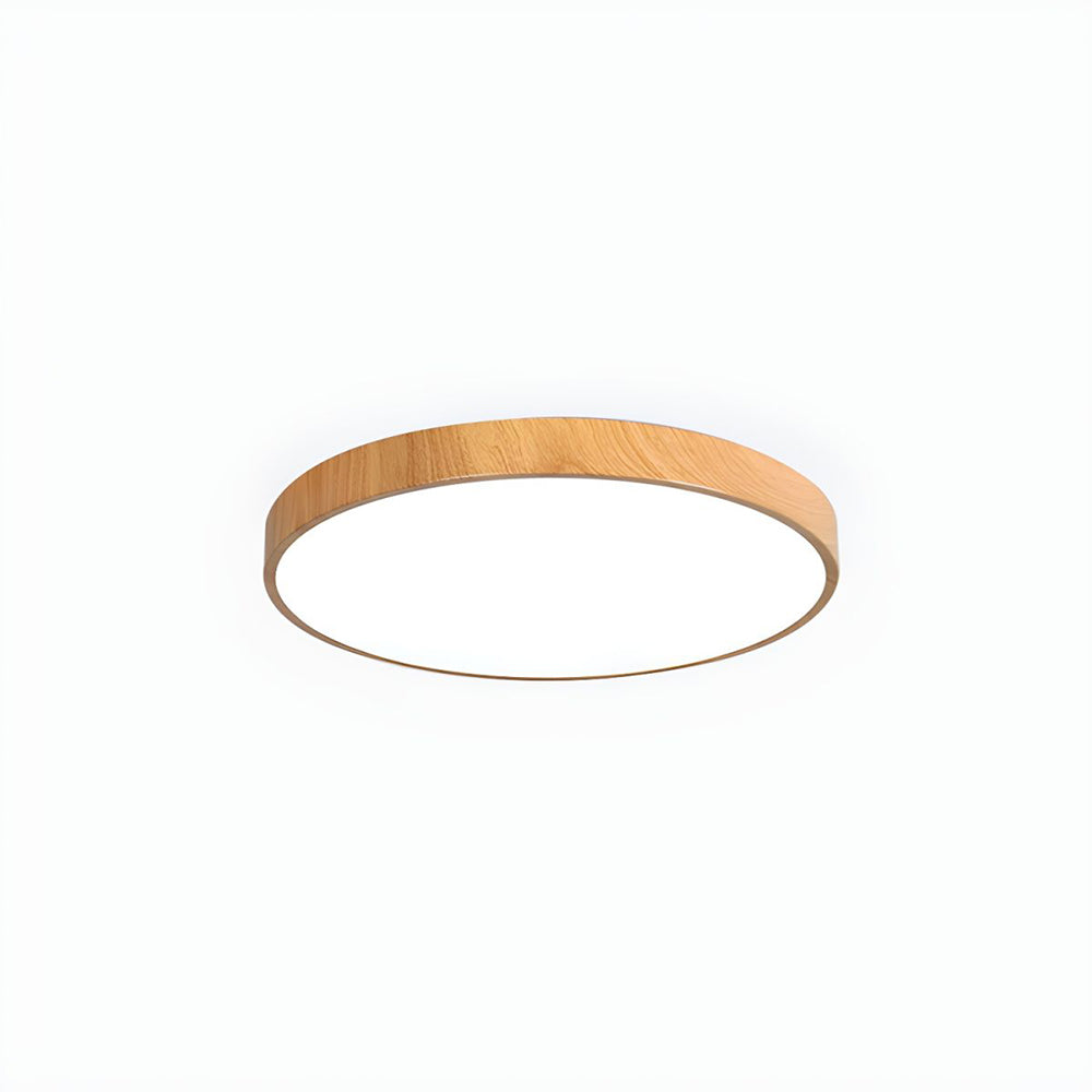 Concize Disc Ceiling Light