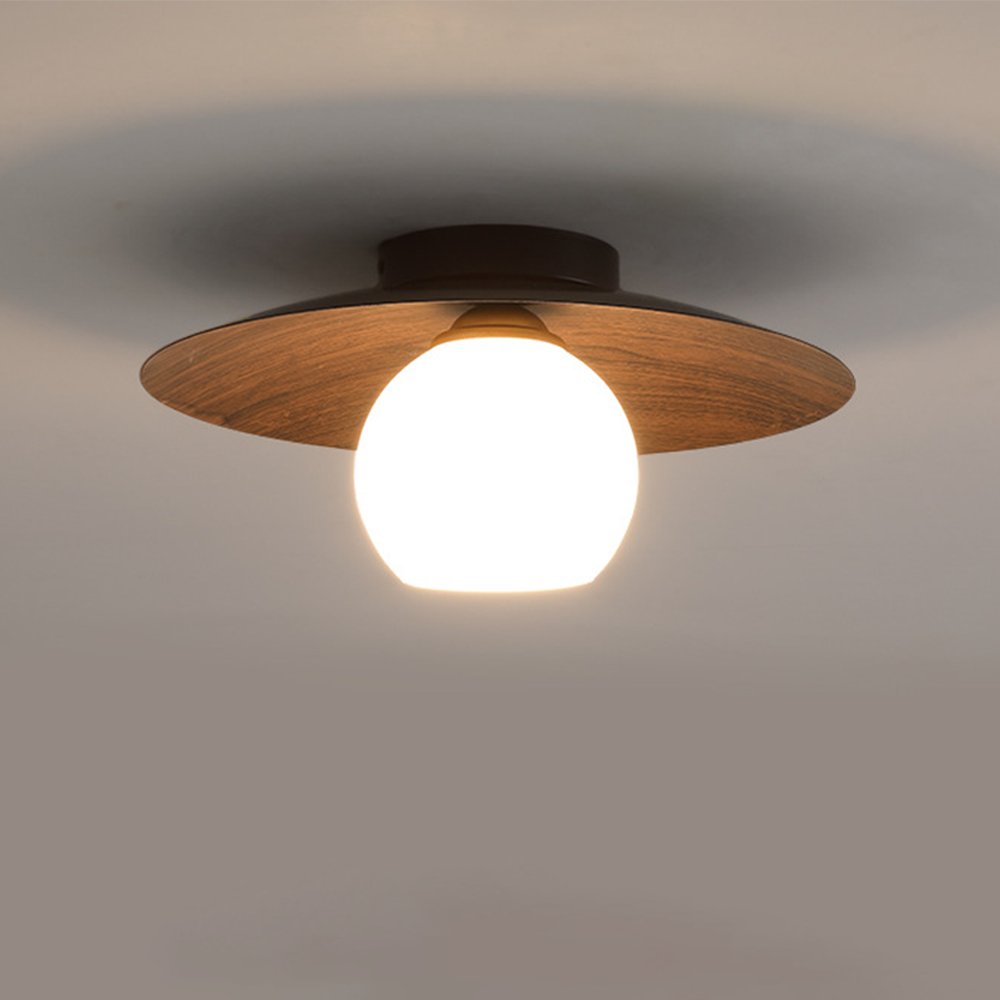Entaro Ceiling Light