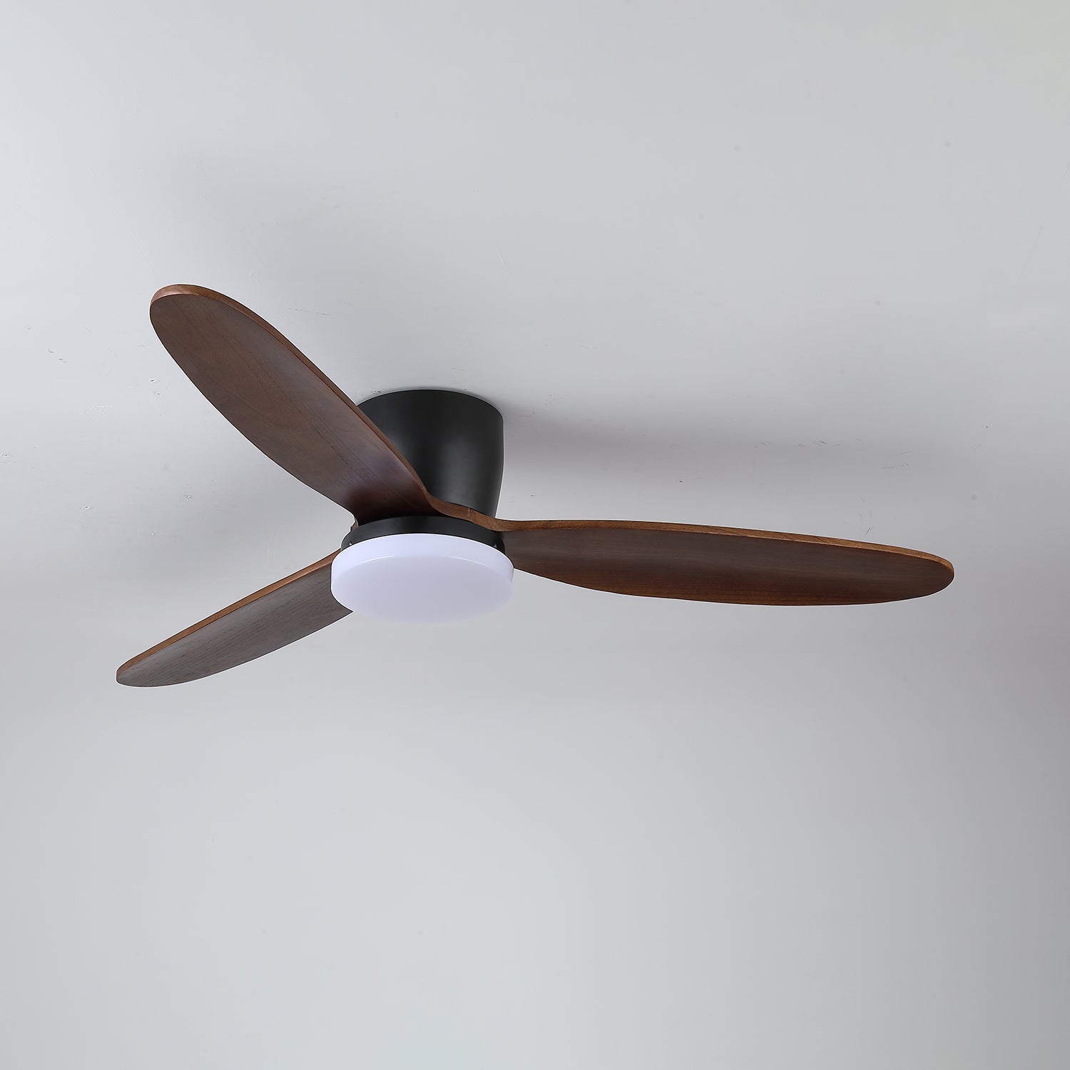 Nesorim Ceiling Fan
