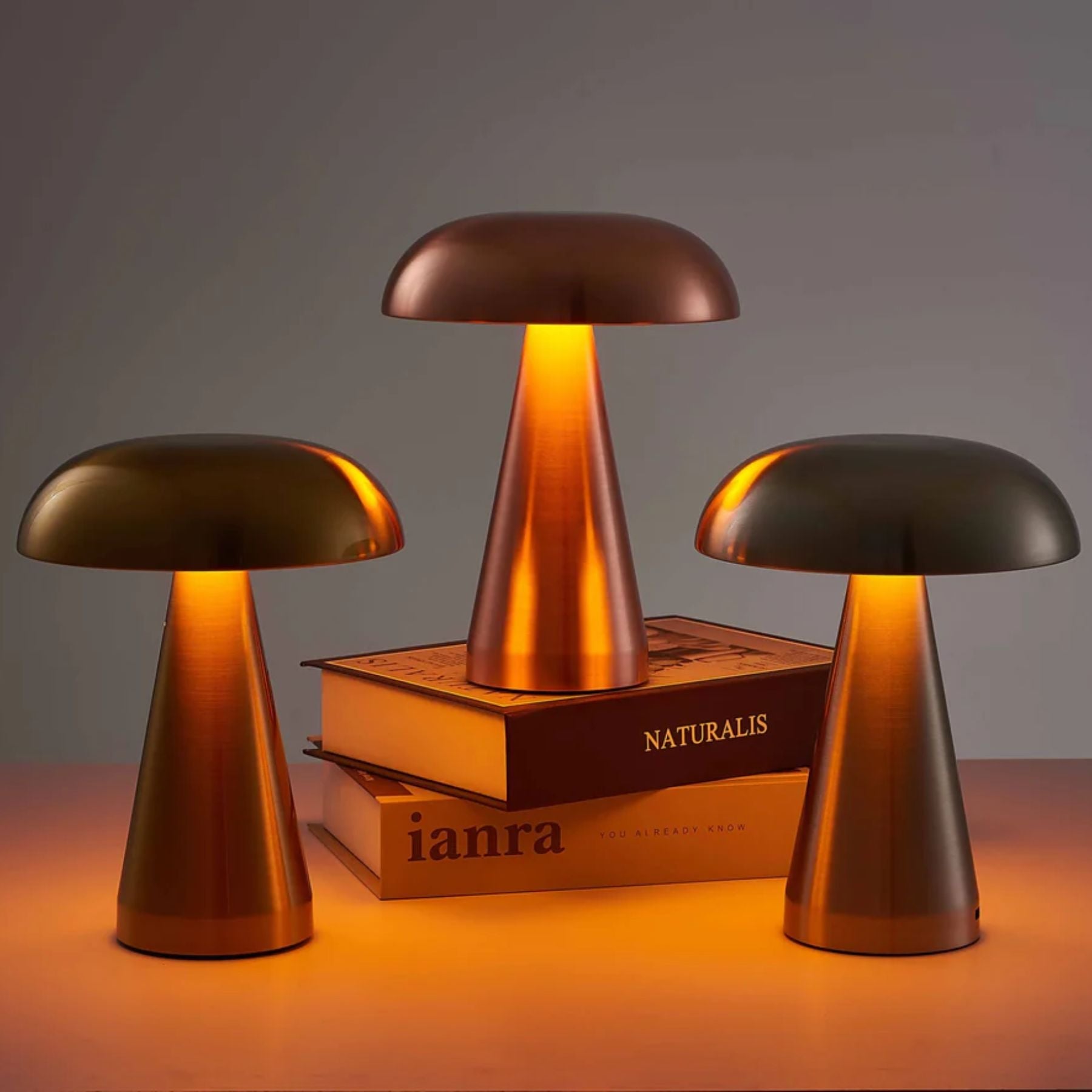 Moshi Table Lamp