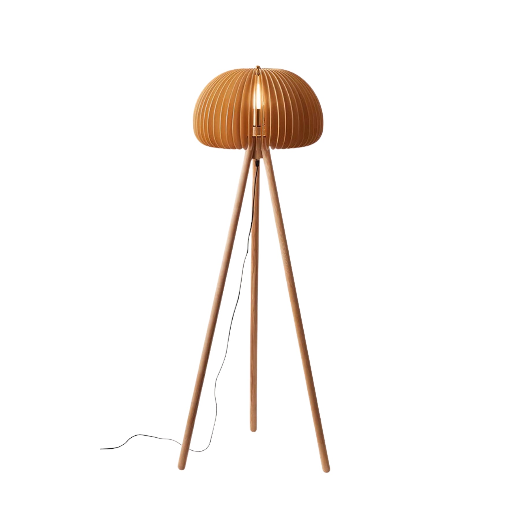 Nolani Floor Lamp