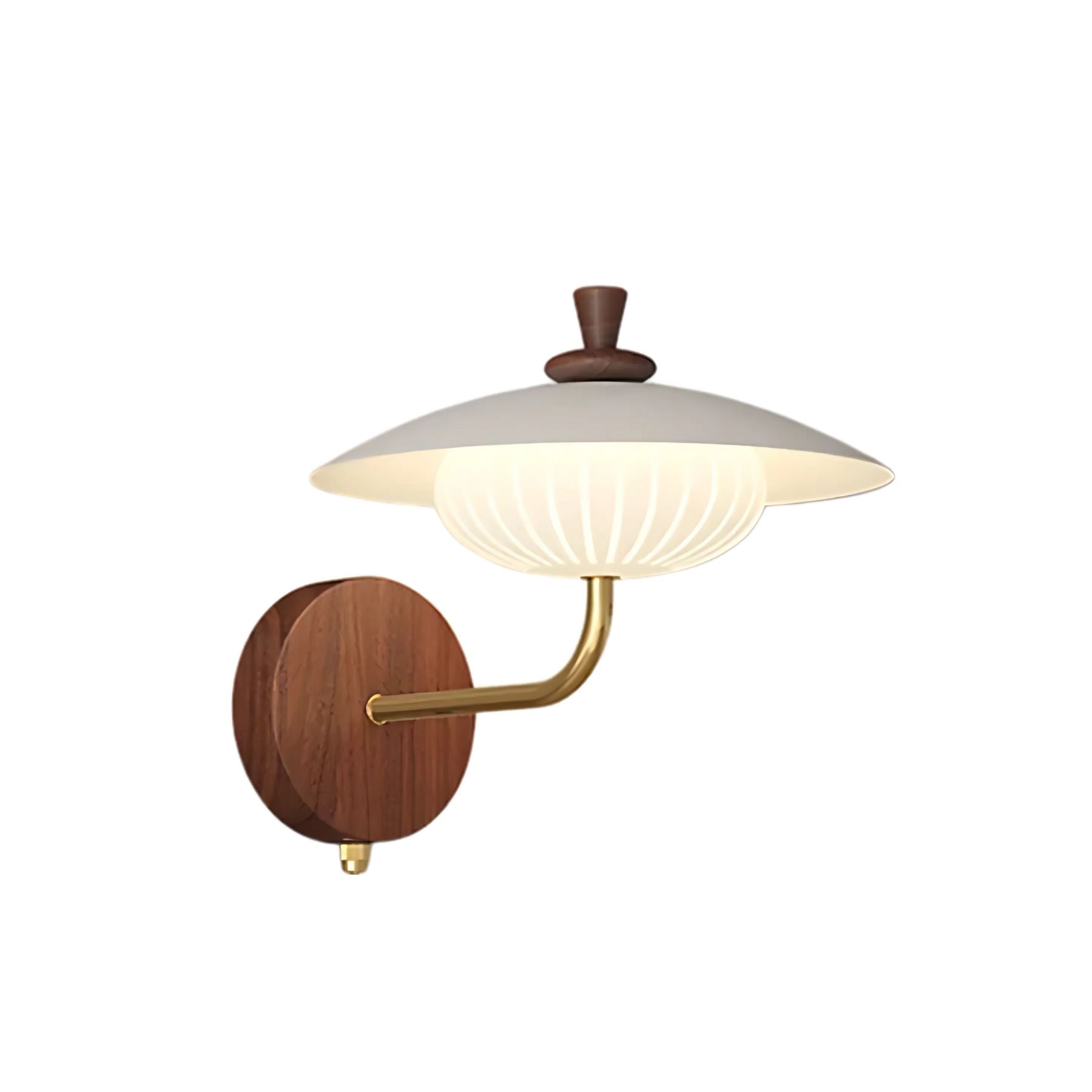 Doleni Wall Light