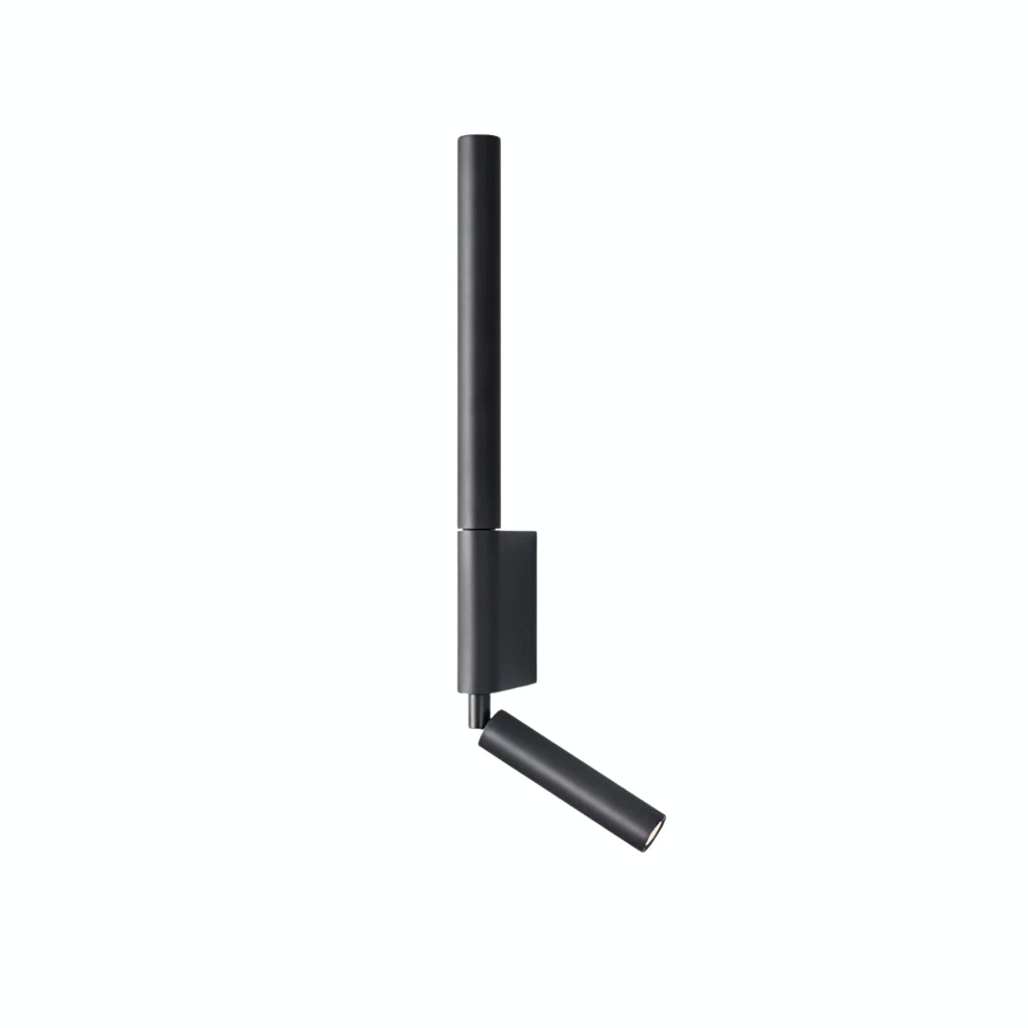 Cavullo Wall Light