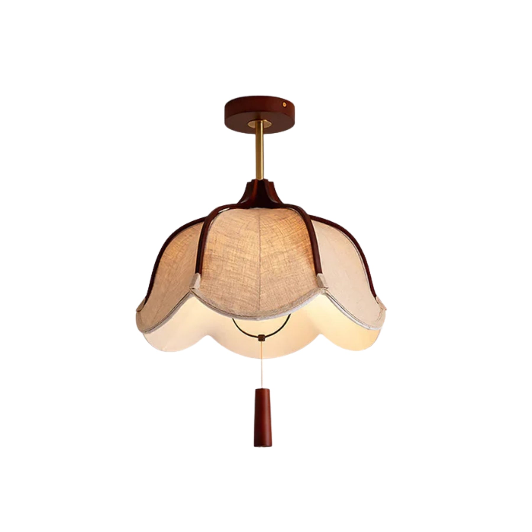 Heliza Ceiling Light