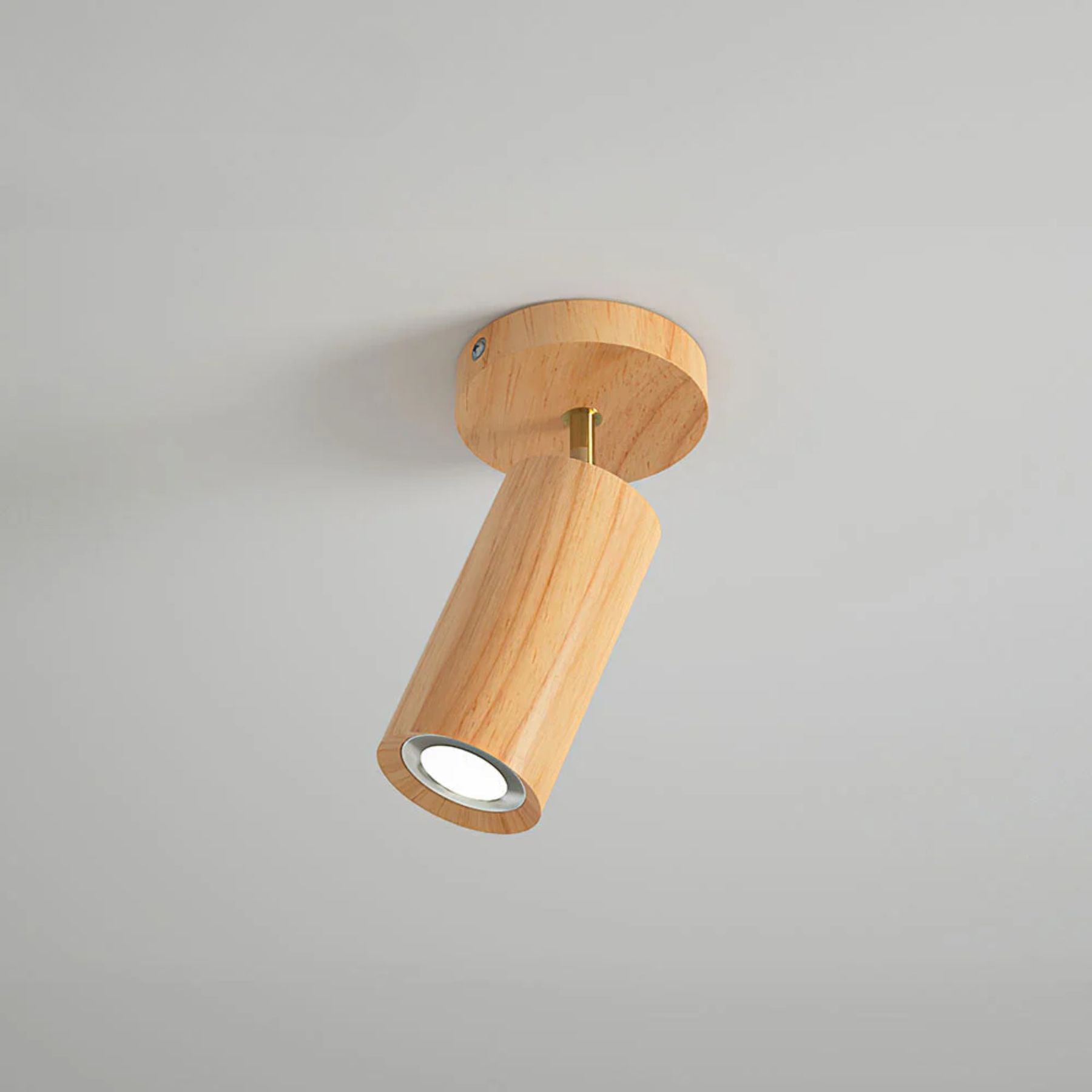 Metoza Ceiling Light