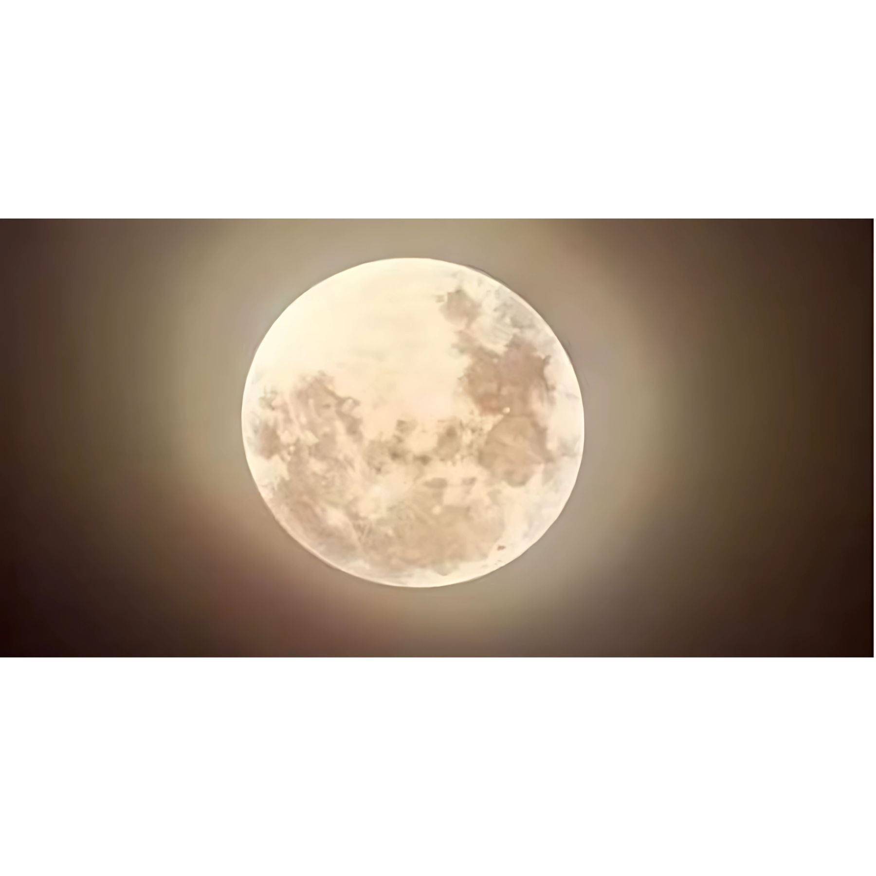 Looma Moon Light