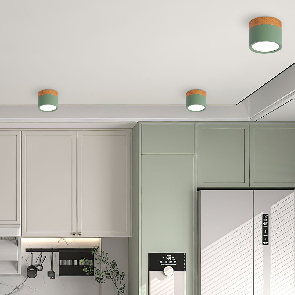 Cylinder Small Ceiling Light