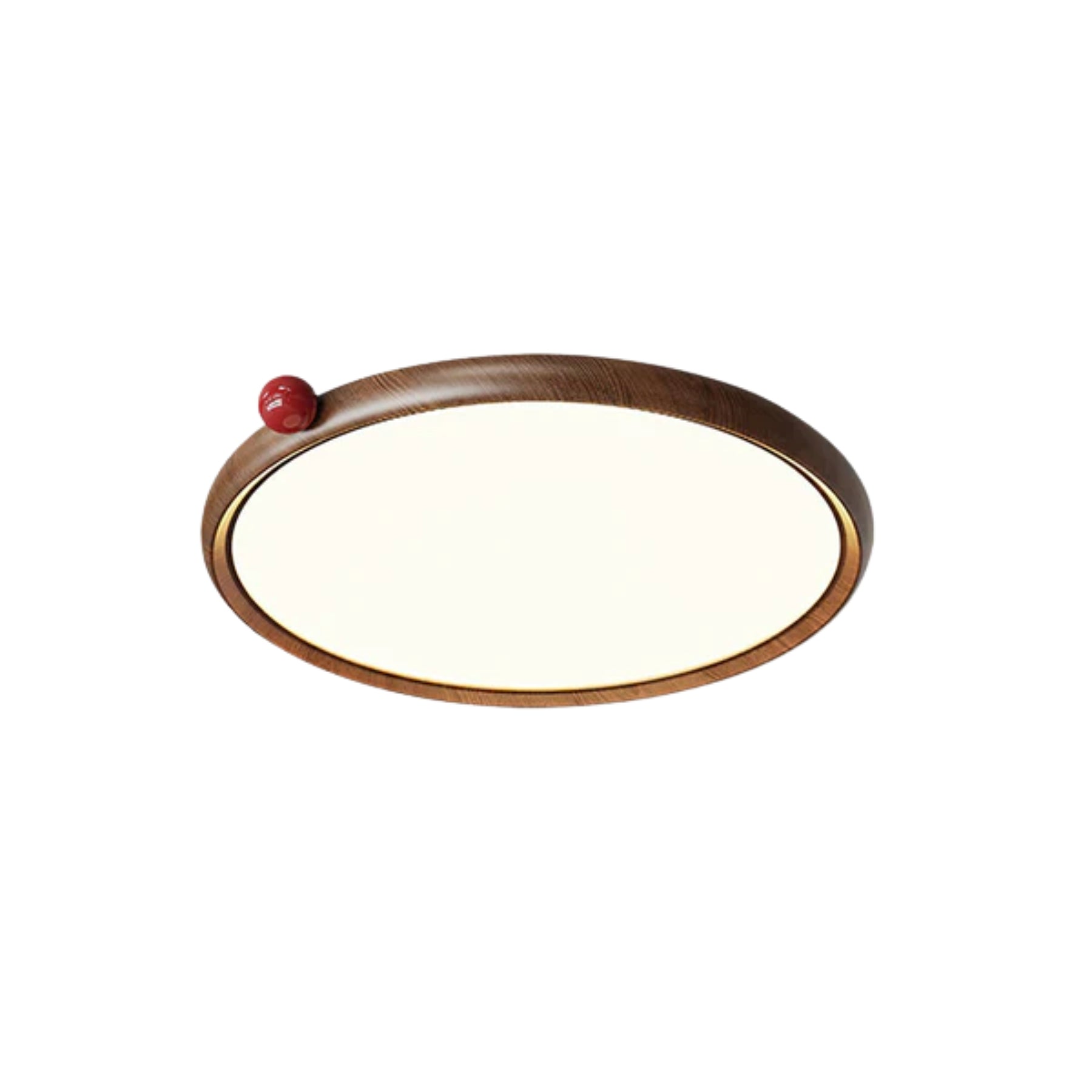Geones Ceiling Light