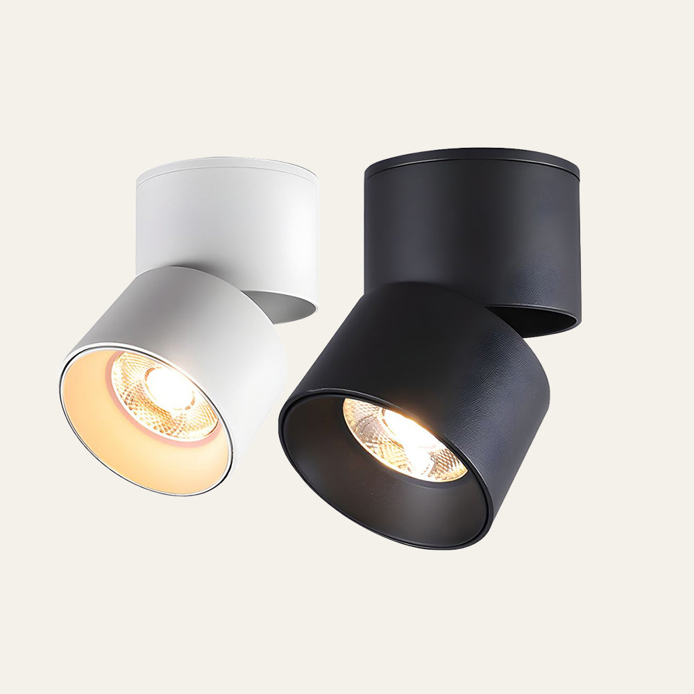 Velori Ceiling Light
