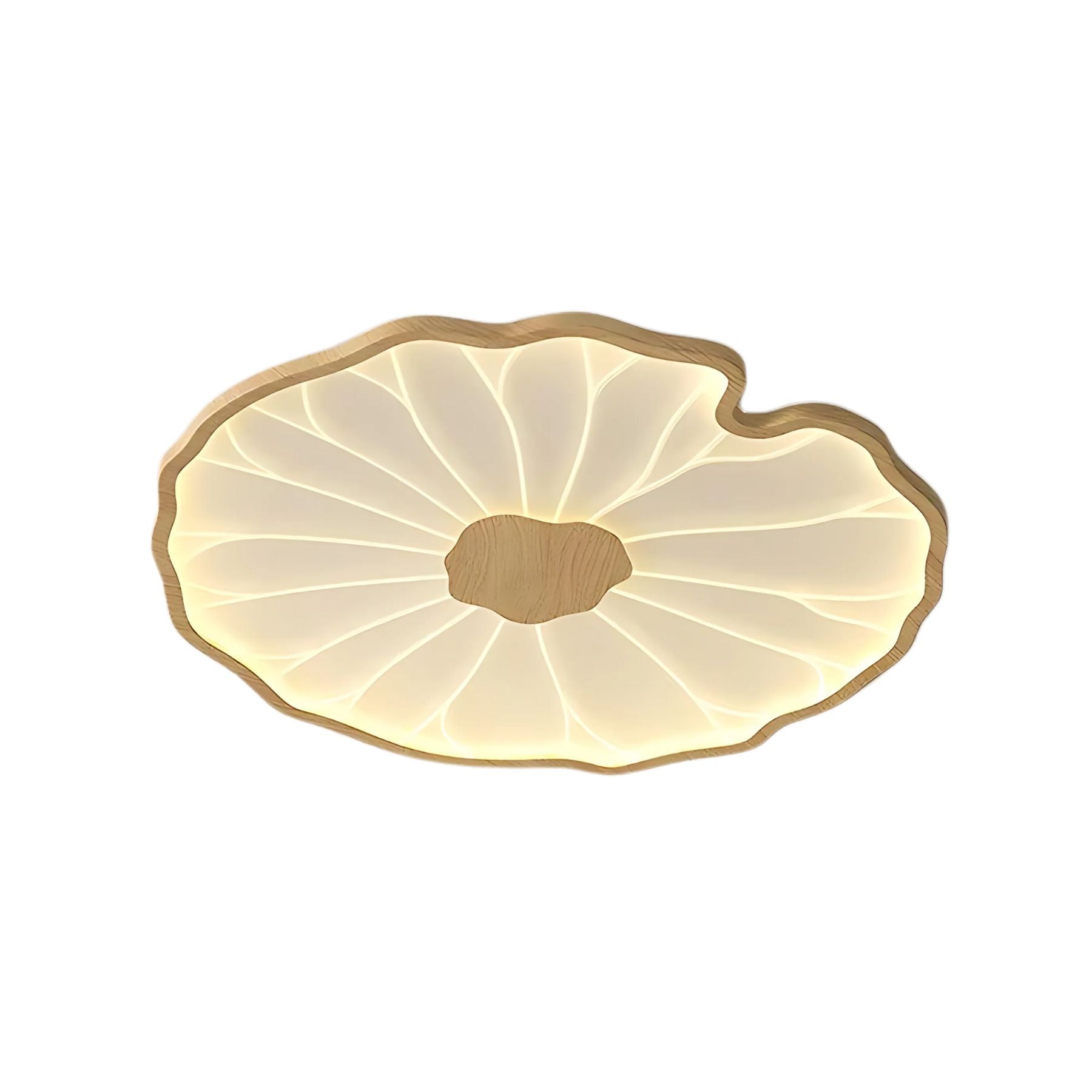 Avina Leaf Ceiling Light