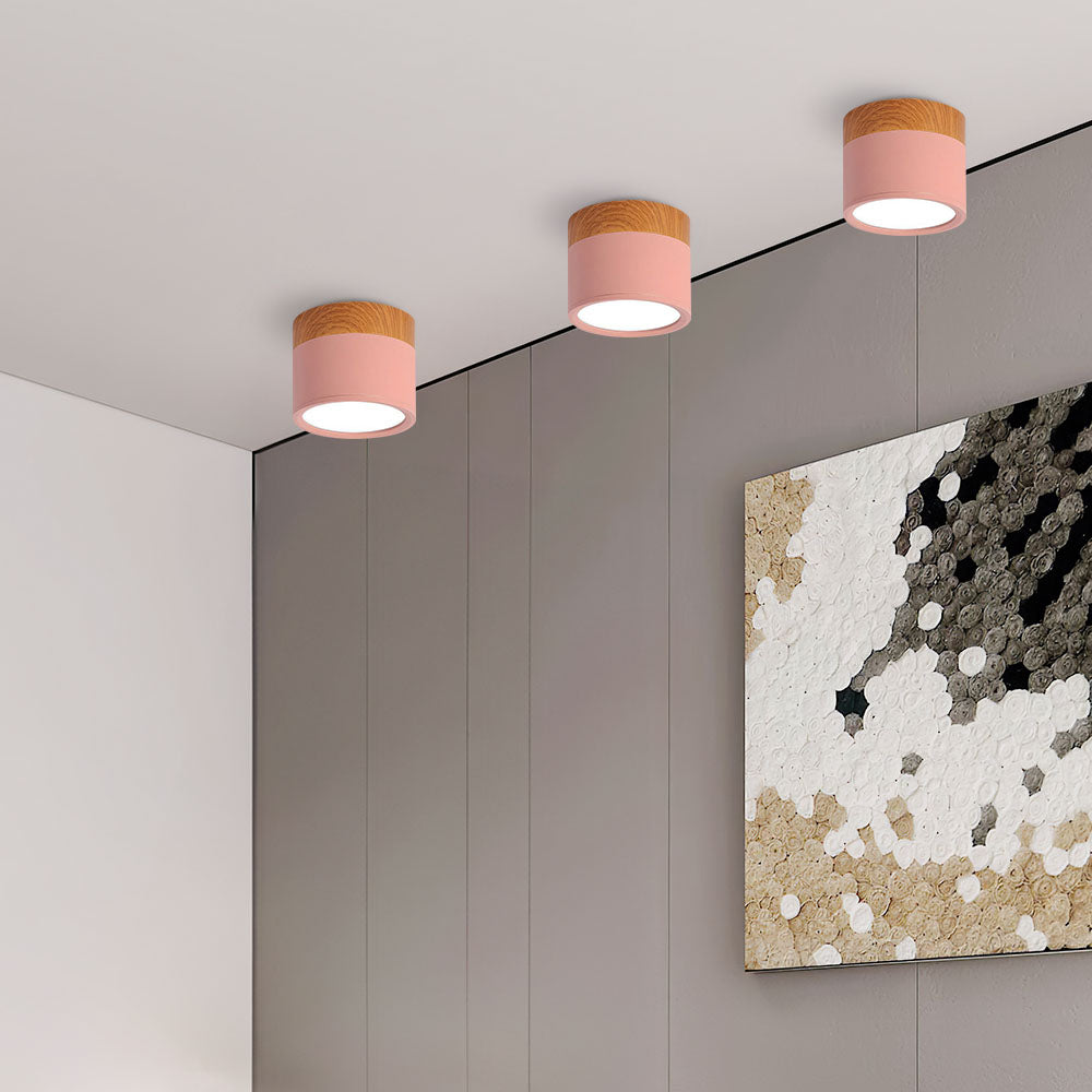 Cylinder Small Ceiling Light