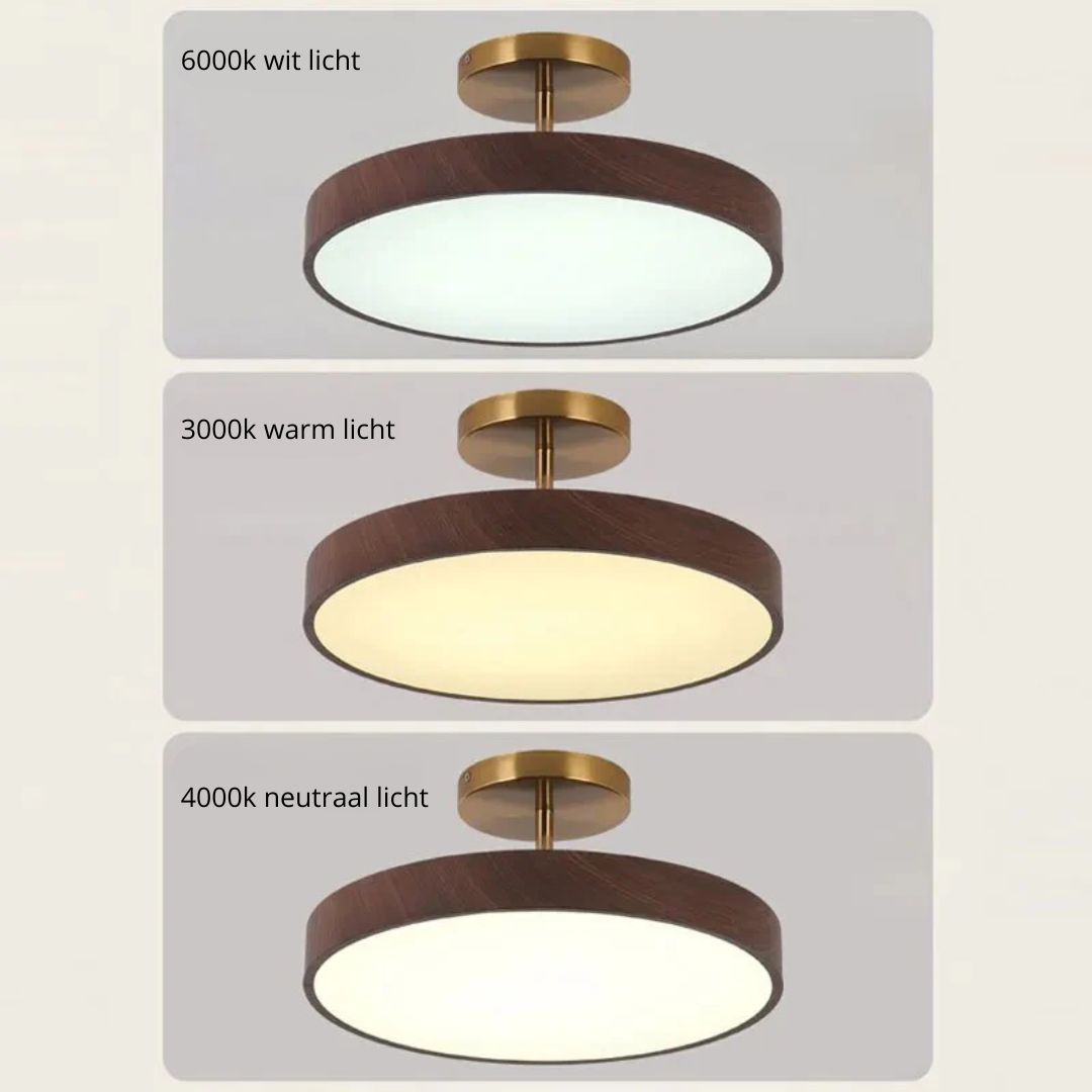 Sinton Ceiling Light