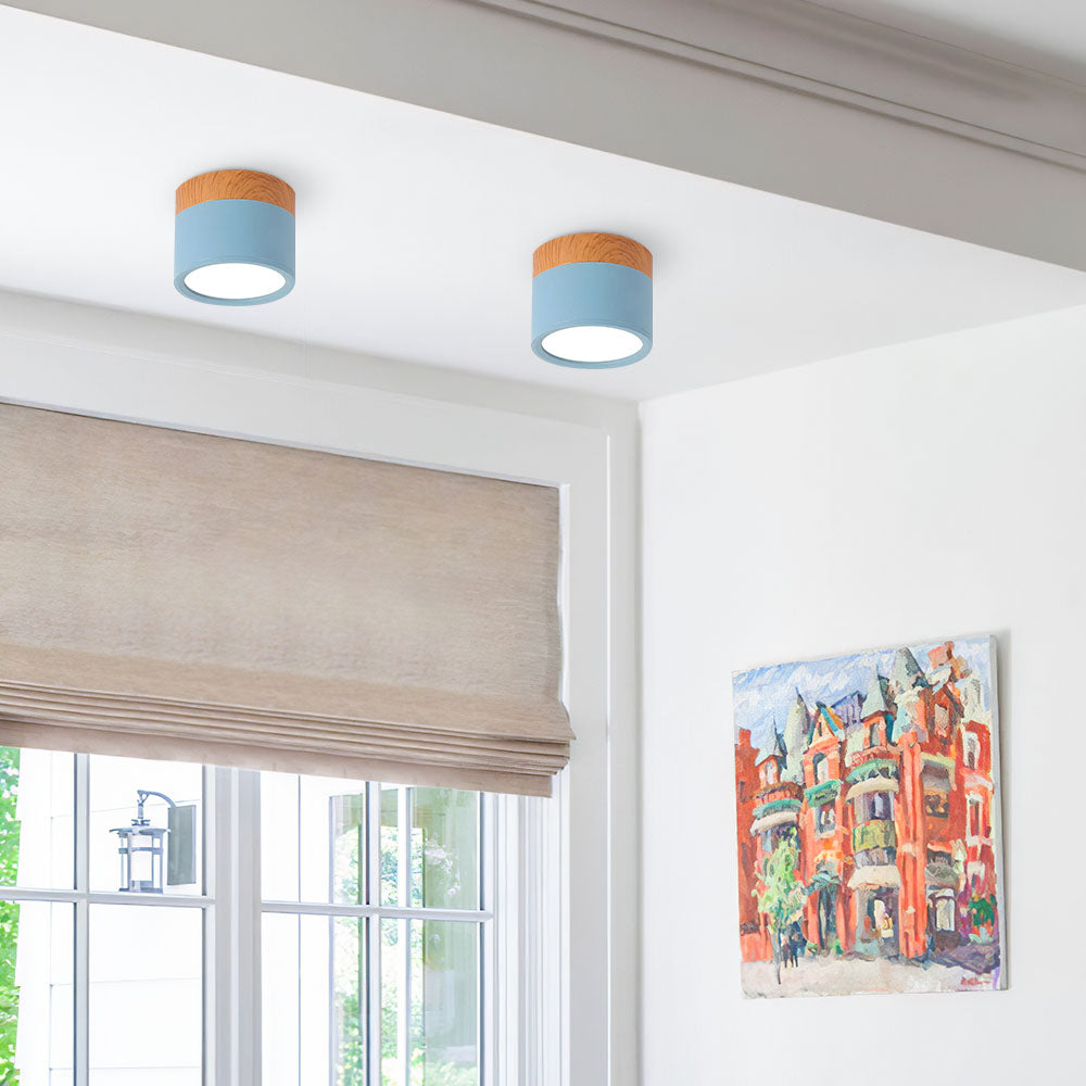 Cylinder Small Ceiling Light