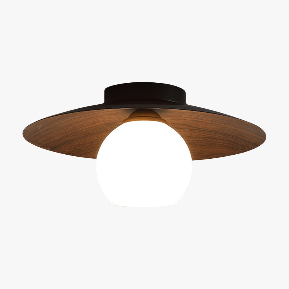 Entaro Ceiling Light