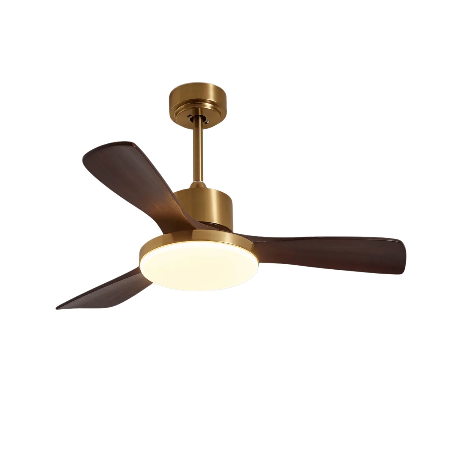 Dorelma LED Ceiling Fan