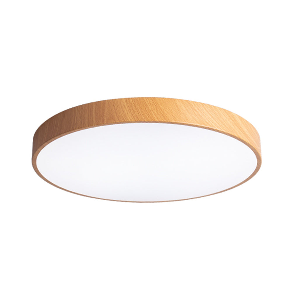 Concize Disc Ceiling Light