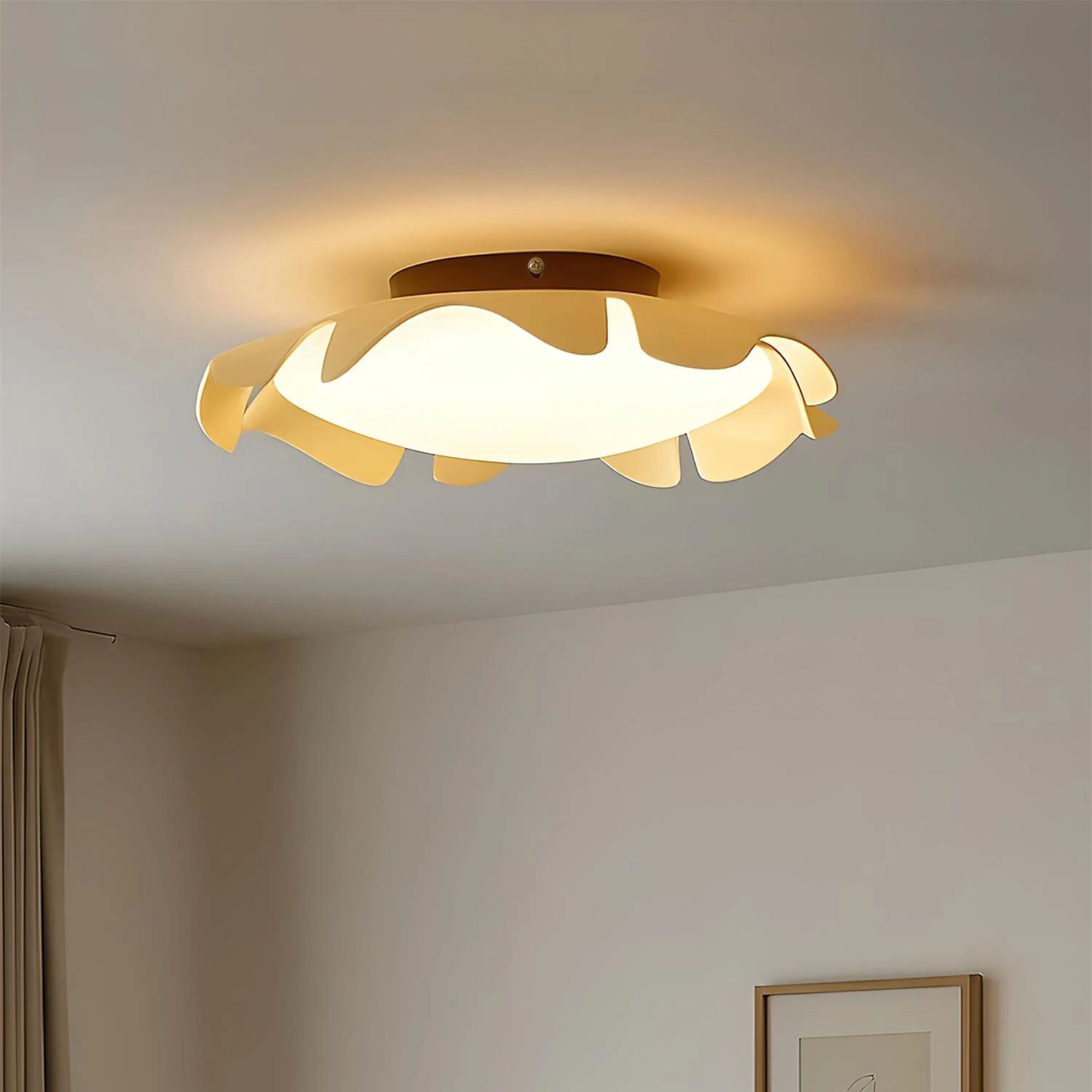 Fleiza Ceiling Light