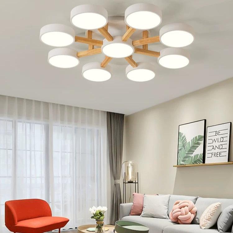 Finizaro Ceiling Light