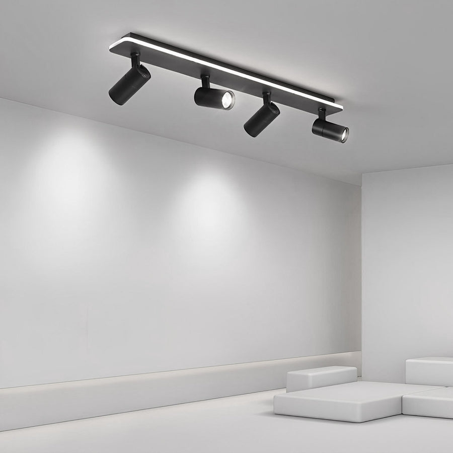 Triccon Ceiling Light