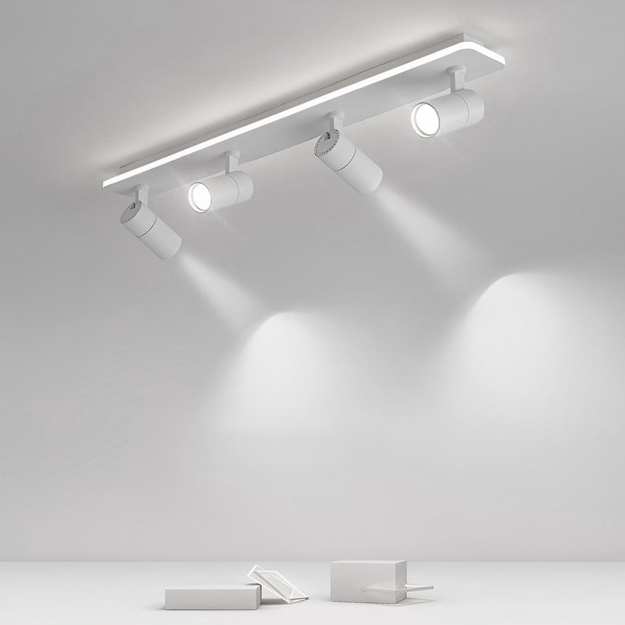 Triccon Ceiling Light