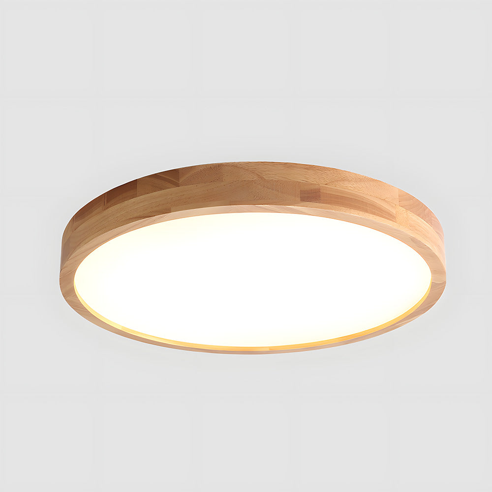 Erlivon Ceiling Light