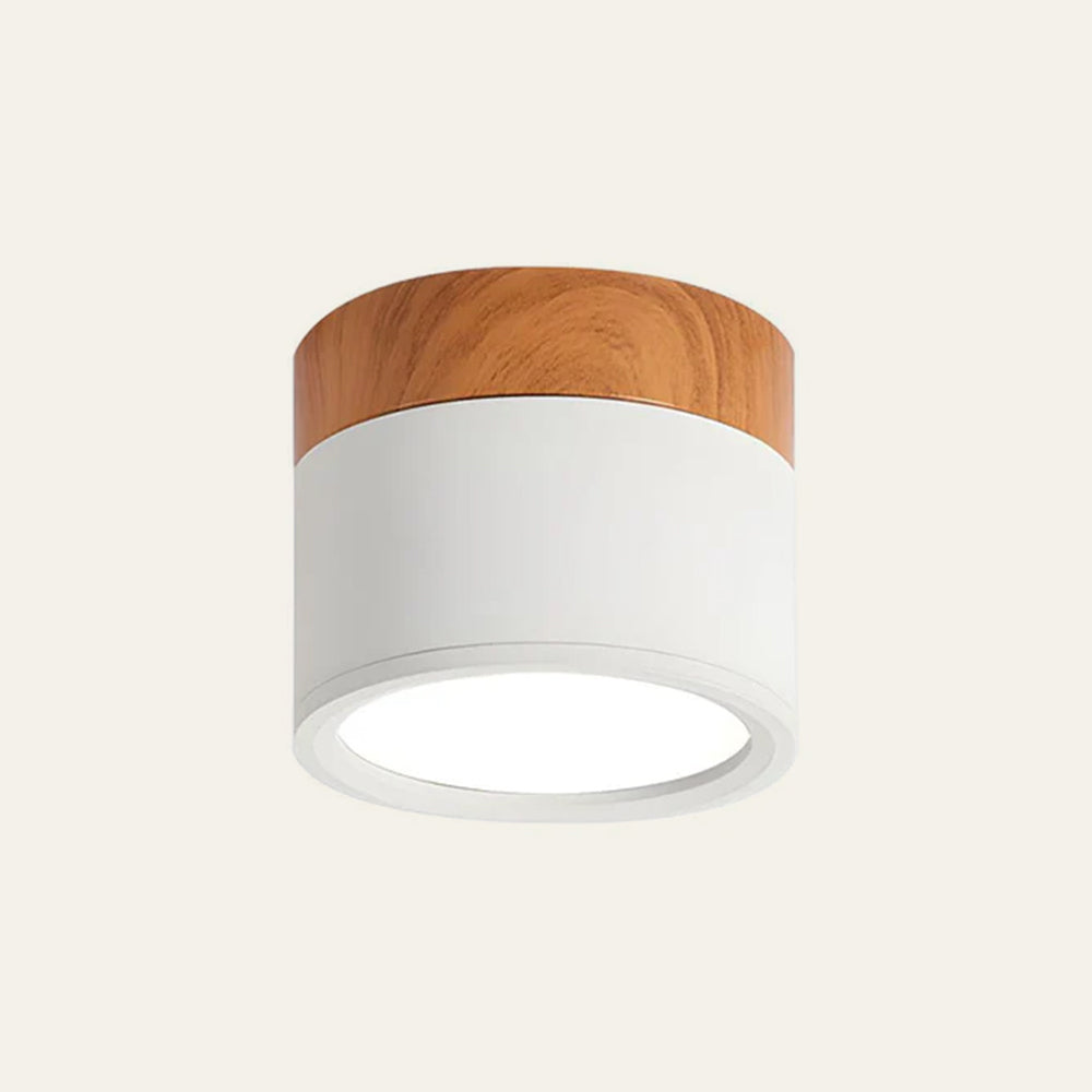 Cylinder Small Ceiling Light
