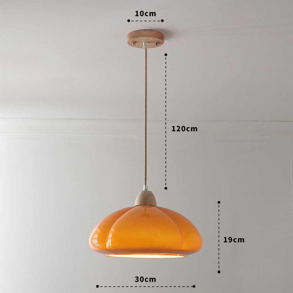 Olvy Pumpkin Pendant Light
