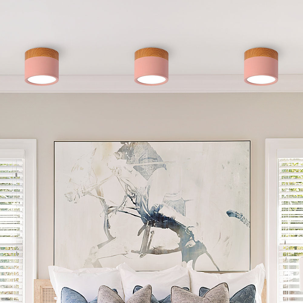 Cylinder Small Ceiling Light