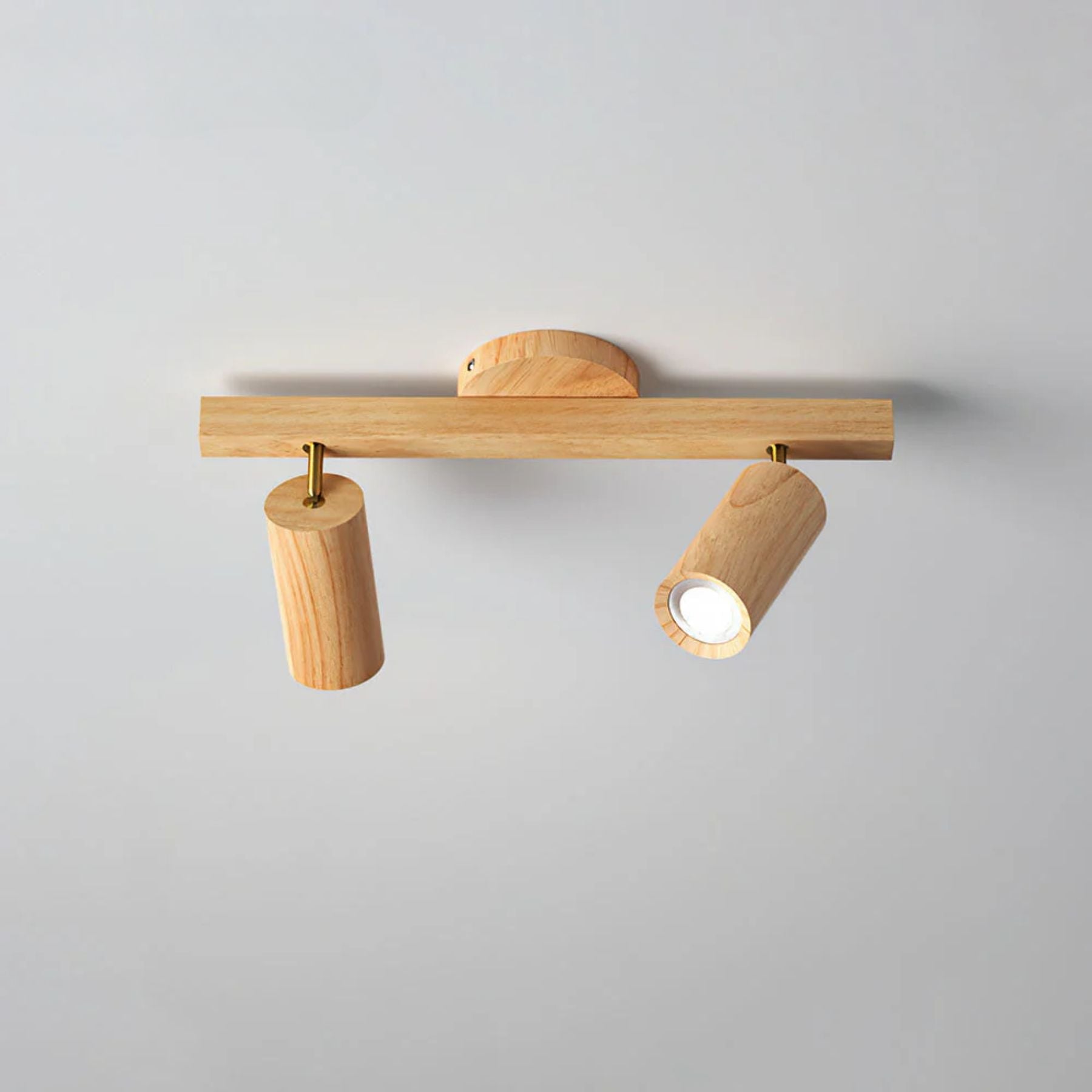 Metoza Ceiling Light