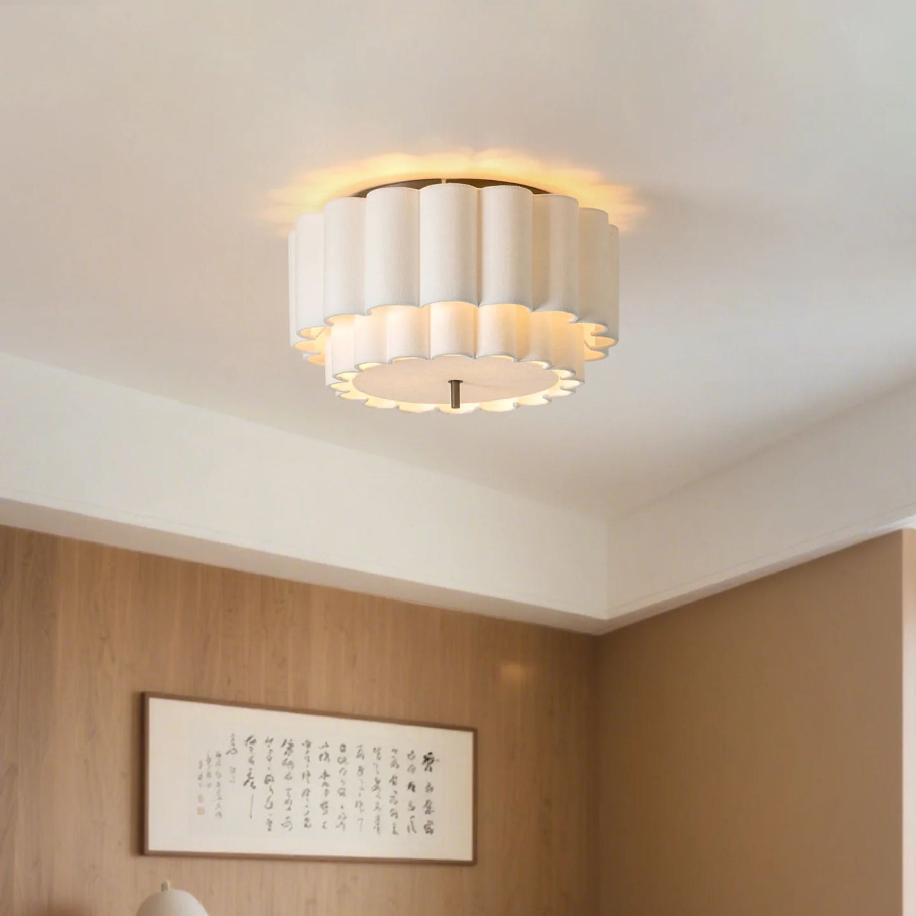 Belzyvo Ceiling Light