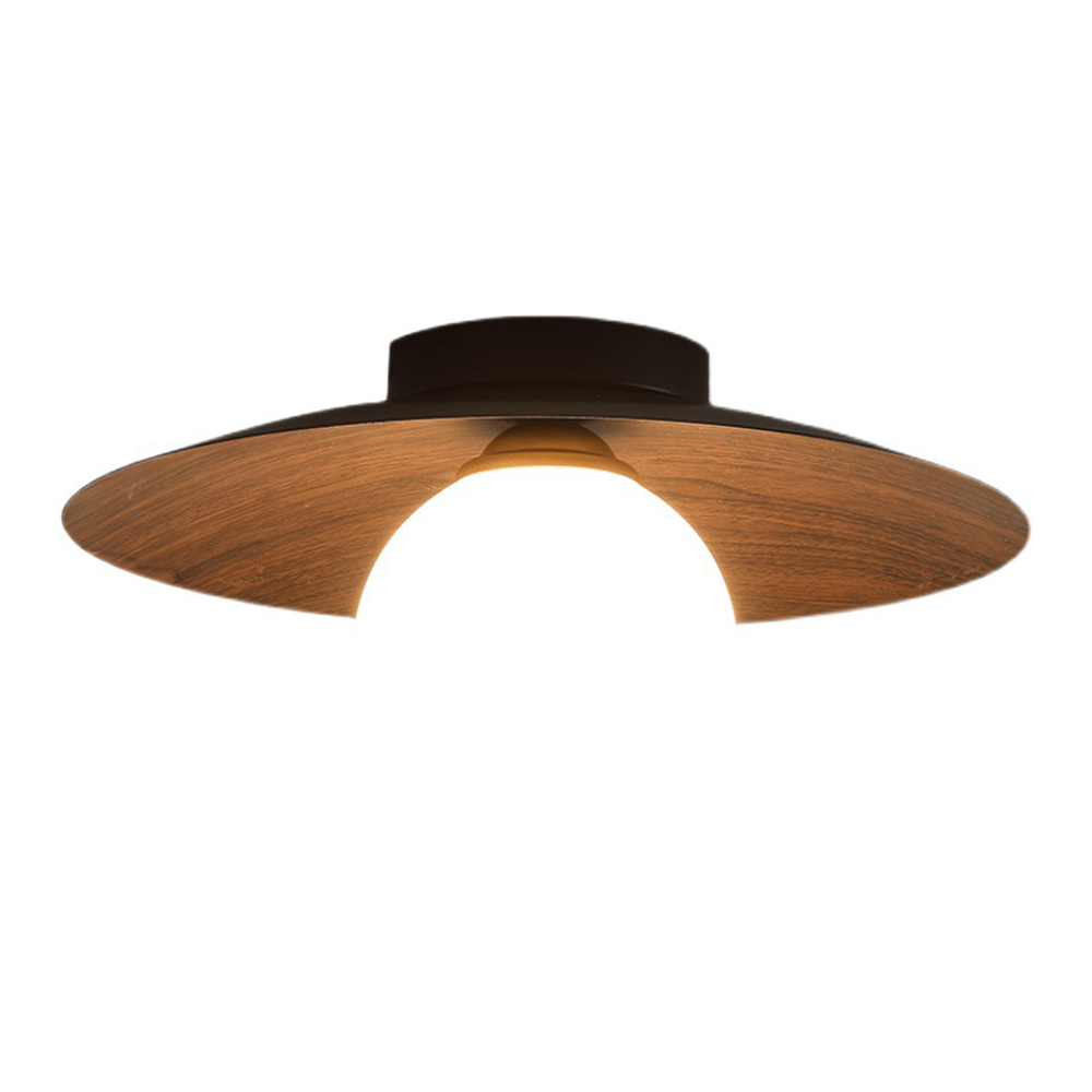 Entaro Ceiling Light