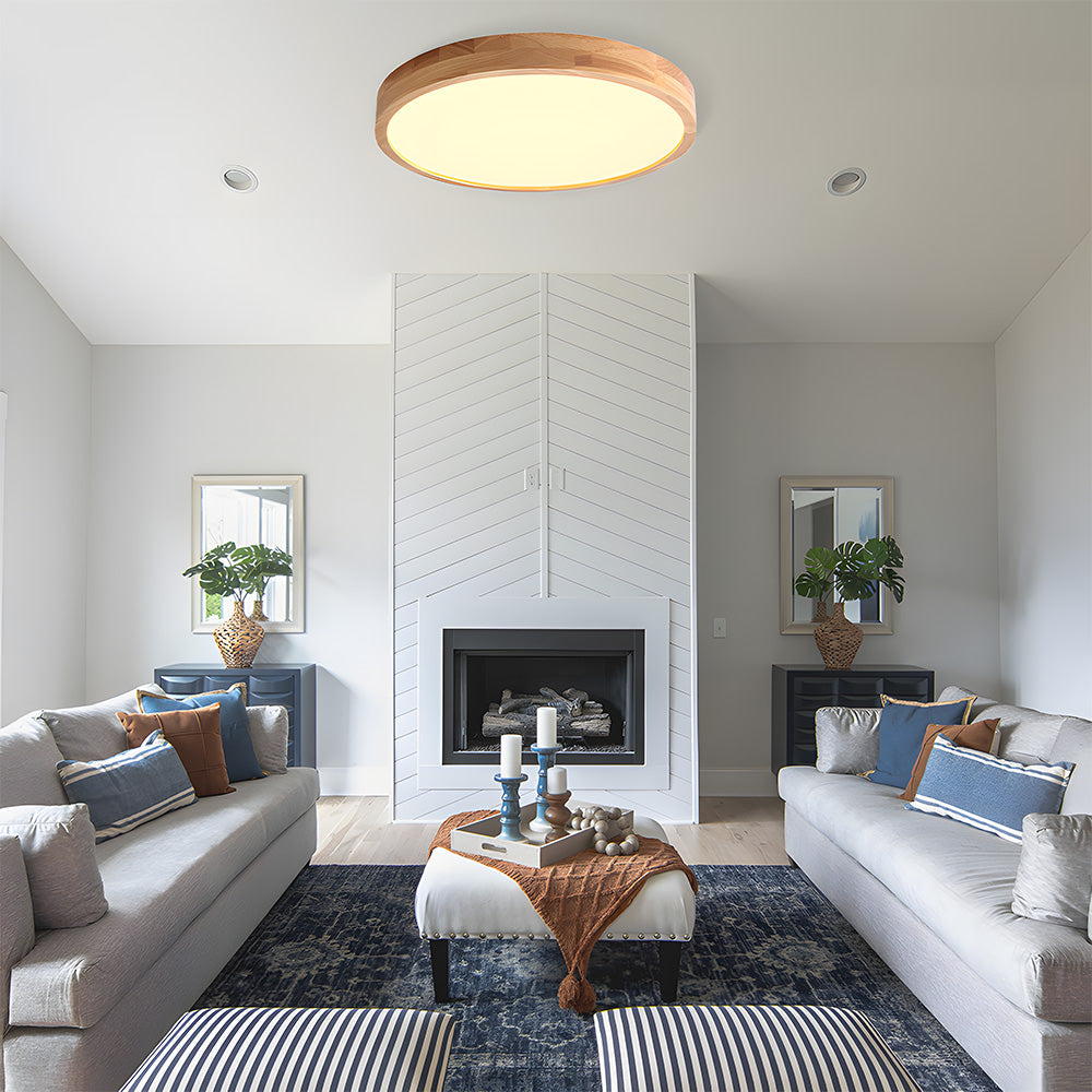 Erlivon Ceiling Light