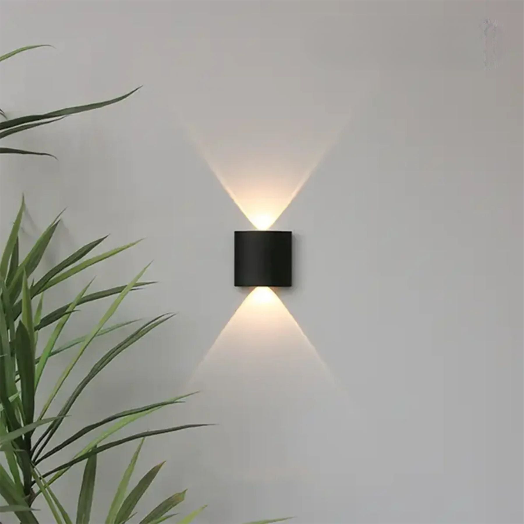 Domesi Wall Light