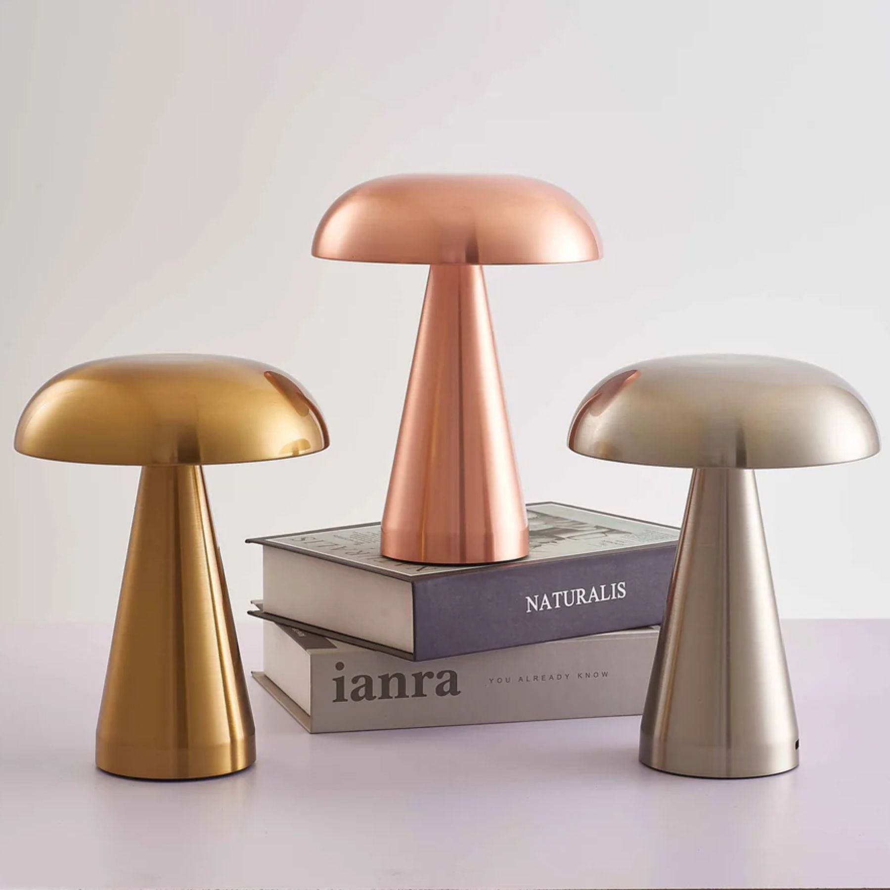 Moshi Table Lamp